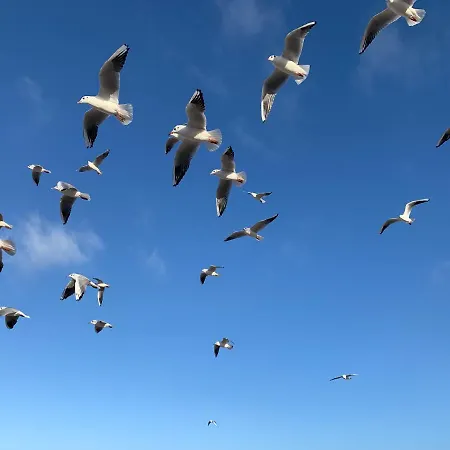 Seaside Park Prywatne Z Widokiem Na Morze Appartement